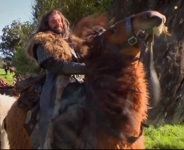 thorin and horse